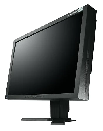 flexscan s2431w