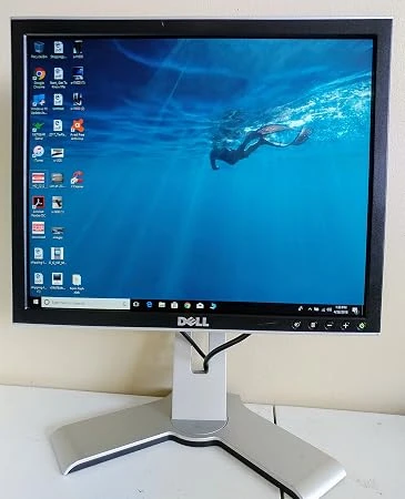 dell 1703fpt monitor