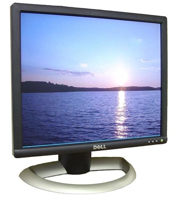 dell 1703fpt monitor