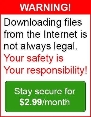 VPN